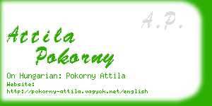 attila pokorny business card